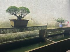 -上海鲁迅故居