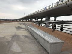 -演武大桥观景平台