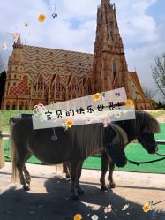 -萌宠亲子动物乐园(槐房万达店)