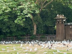 -上海野生动物园