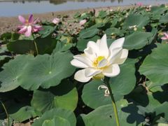 -杜氏旅游度假区