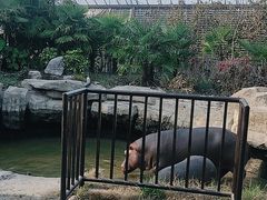 -上海野生动物园