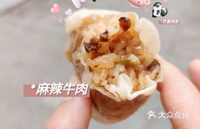 Spicy Beef Dumplings