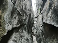 -千岛湖石林