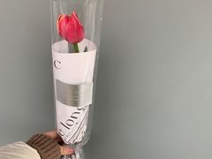 -王尔德与花