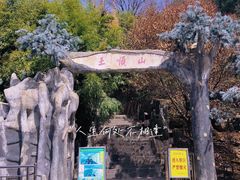 -王顺山国家森林公园