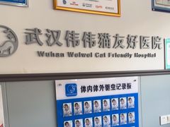 -伟伟宠物医院·瑞派猫友好医院·猫科(光谷店)