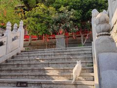 -宝通禅寺
