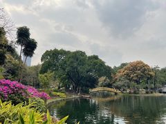 -晓港公园