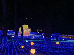 -广西壮族自治区药用植物园