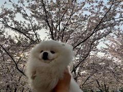 -龙美术馆(西岸馆)