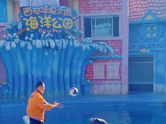 -华夏文旅海洋公园