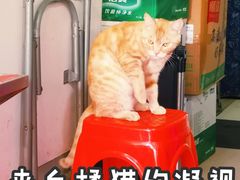 -胡椒猪肚汤(康王店)