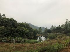 -天强农家菜馆