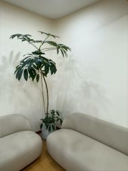 -HEYAN荷妍专业脱毛连锁机构