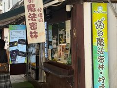 -猫的魔法密林(衣裳街店)