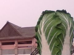 -上海都市菜园