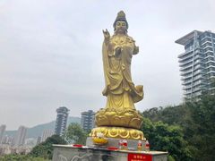 -小南山公园
