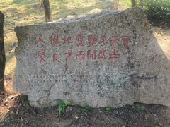 -叶挺将军纪念园
