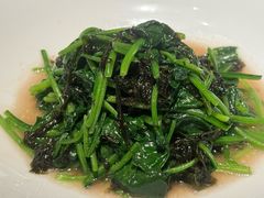 紫菜炒菠菜-喜鼎海胆水饺(东港店)