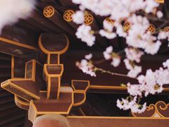 -西安青龙寺遗址景区