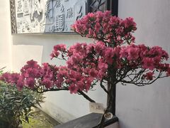 -上海方塔园
