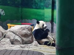-临沂动植物园
