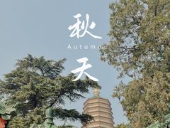 -八大处公园