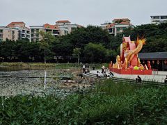 -映月湖公园