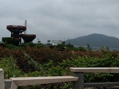 -芒洲湿地公园