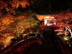 -醍醐寺