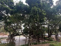 -广东中医药博物馆