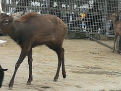 -武汉紫薇都市田园