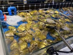 -川骄海鲜自助(河东店)