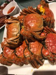 -上海浦东喜来登由由大酒店·宴会厅