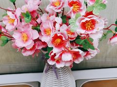 -来相会饺子·新辽菜(甘家口店)