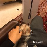 老大叫悠悠，老二叫躲躲。一个一个九岁，一个五岁了