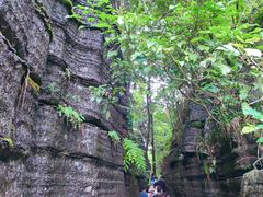 -梭布垭石林景区