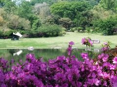 -东湖磨山景区