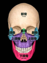 -小颜秘家·韩国整骨