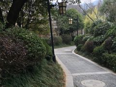 -深业半汤御泉庄温泉