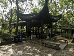 -上海佘山国家森林公园天马山园