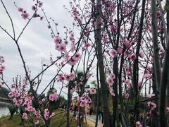 -枫香湖儿童公园