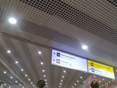 -谢列梅捷沃国际机场