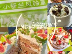 -小苍兰风铃草蛋糕甜品(沈阳店)