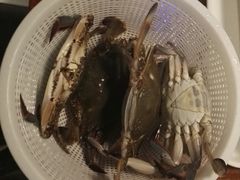 清蒸活螃蟹-蟹谢蒸鲜自助餐厅