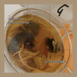 点击看大图 -亚太瑜伽普拉提学院