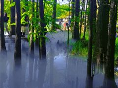 -东湖落雁景区