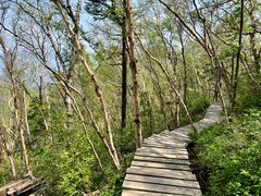 -白草畔自然风景区