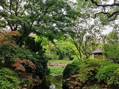 -上海醉白池公园
